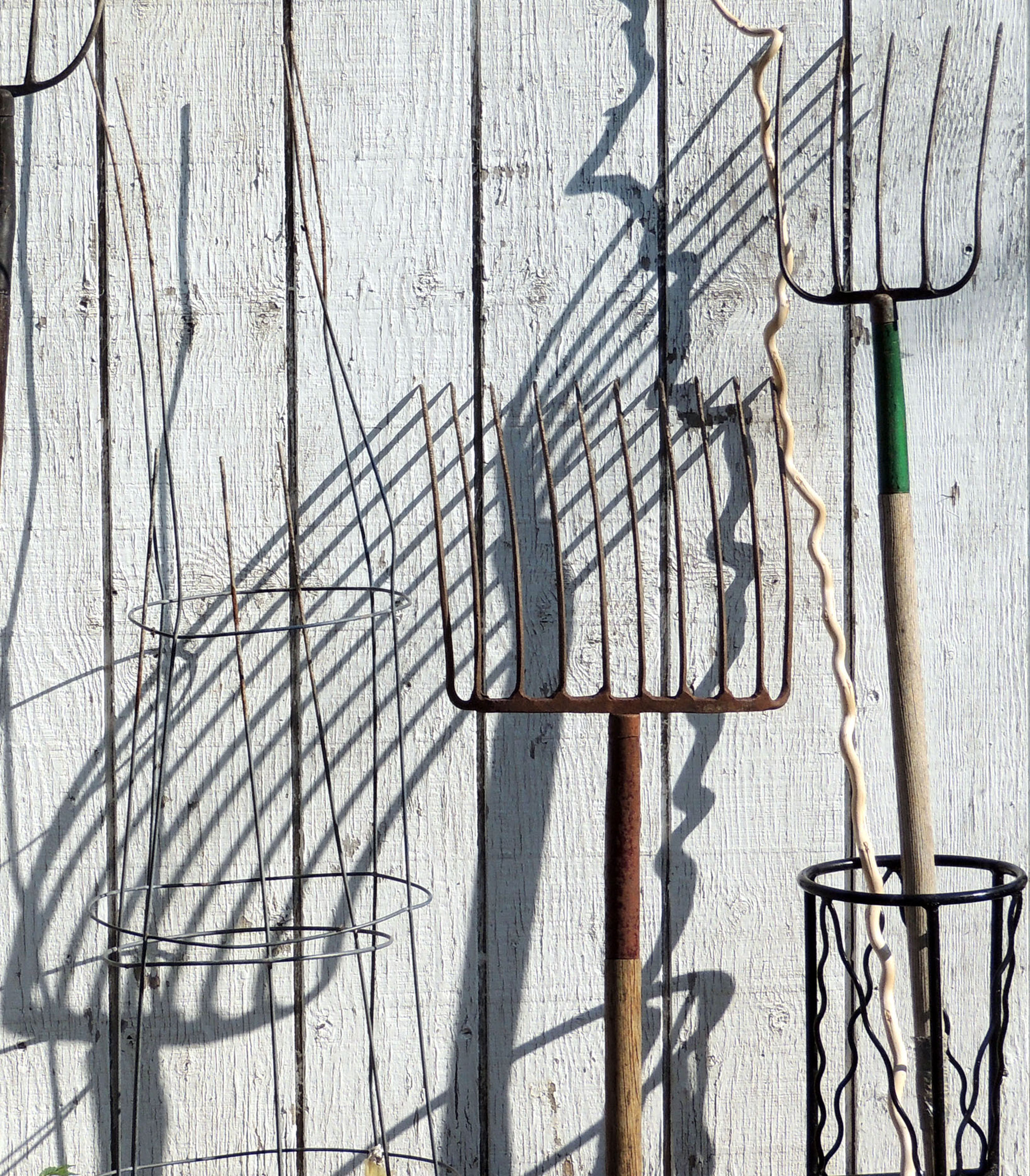 pitchforks3-later-cropped-2