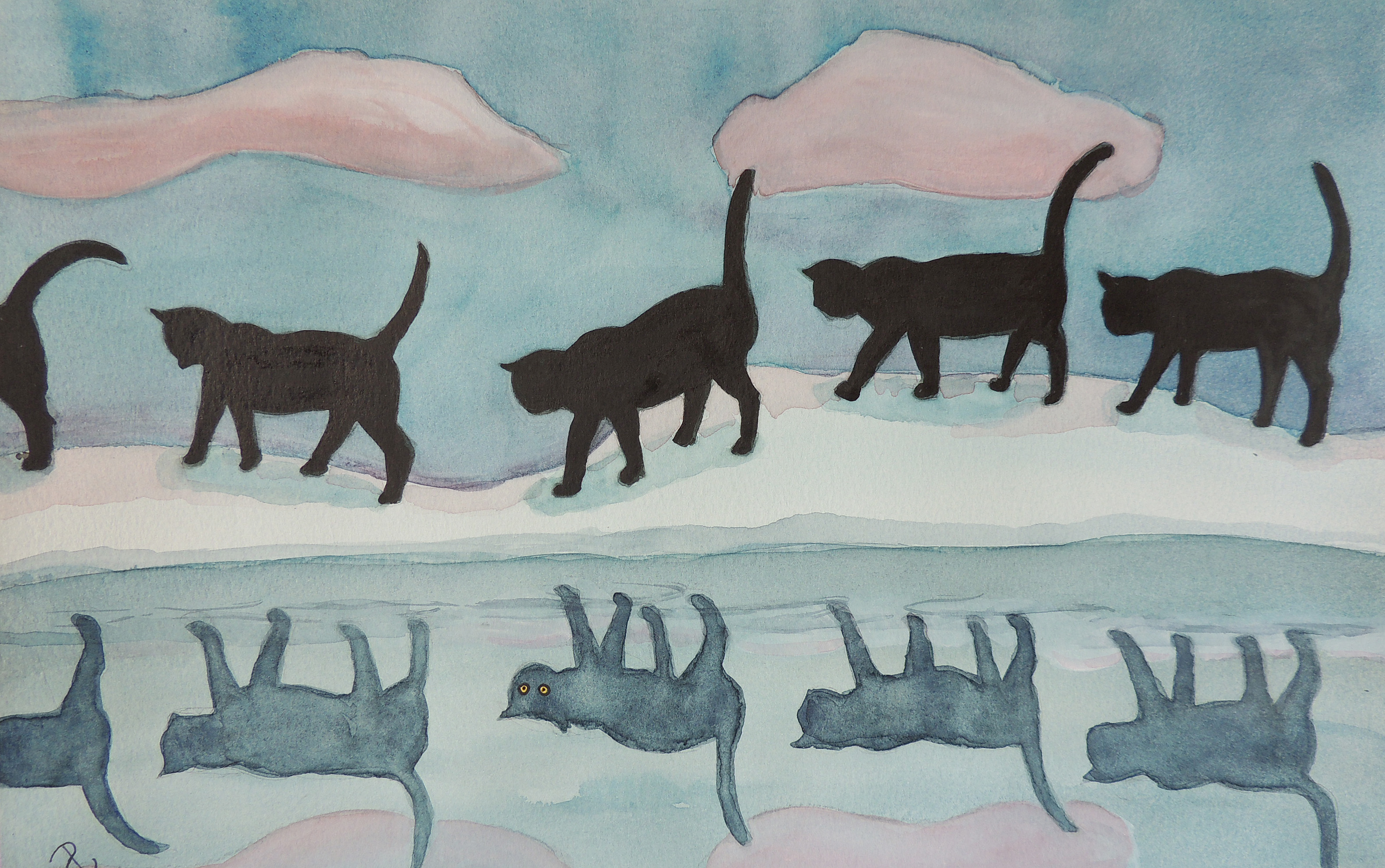 animal groups A cats