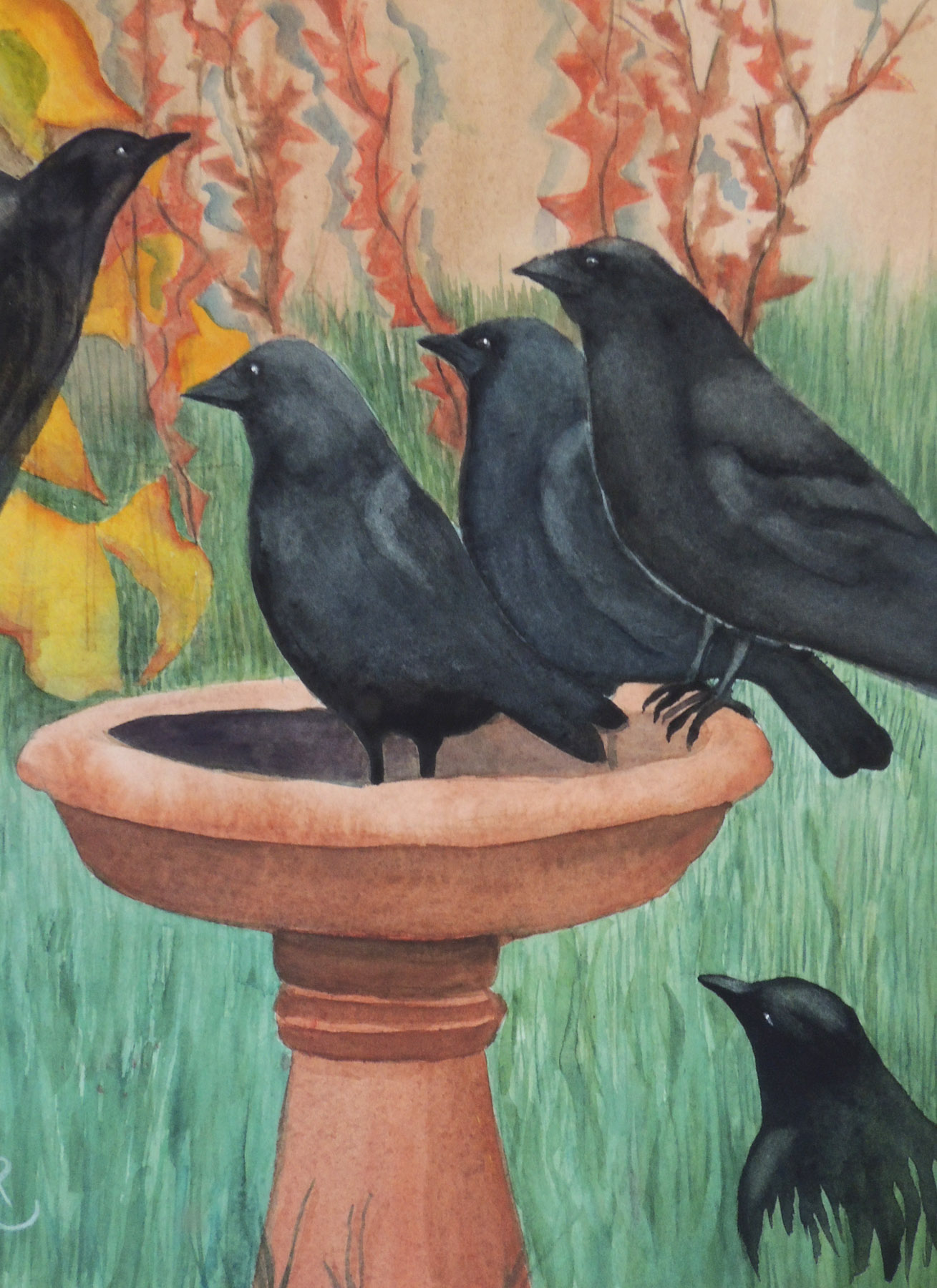 animal groups J Crows sm