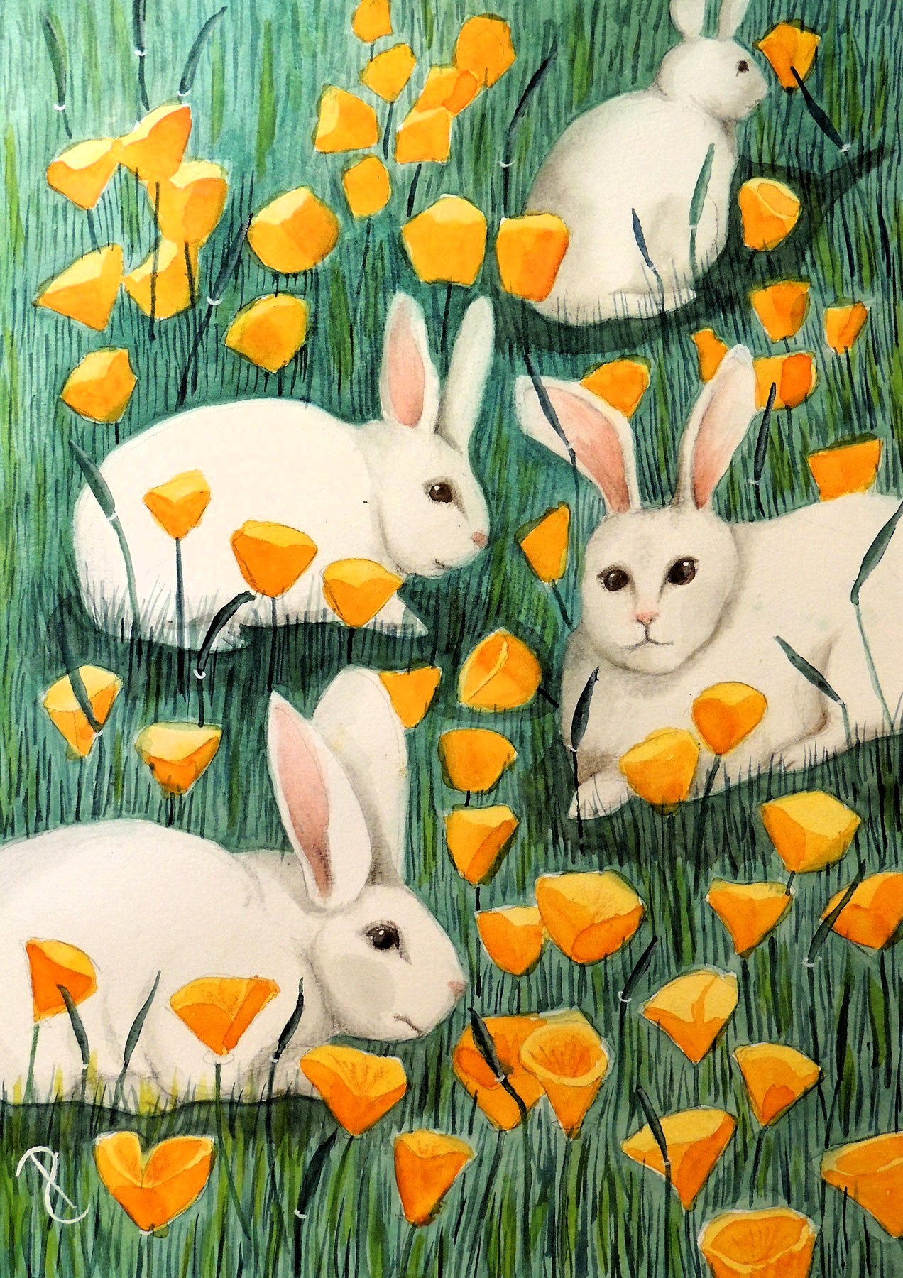 animal groups rabbits